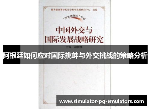 阿根廷如何应对国际挑衅与外交挑战的策略分析