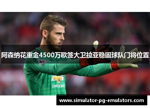 阿森纳花重金4500万欧签大卫拉亚稳固球队门将位置 阿森纳花重金4500万欧签大卫拉亚稳固球队门将位置
