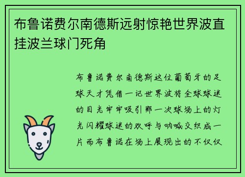 布鲁诺费尔南德斯远射惊艳世界波直挂波兰球门死角 布鲁诺费尔南德斯远射惊艳世界波直挂波兰球门死角